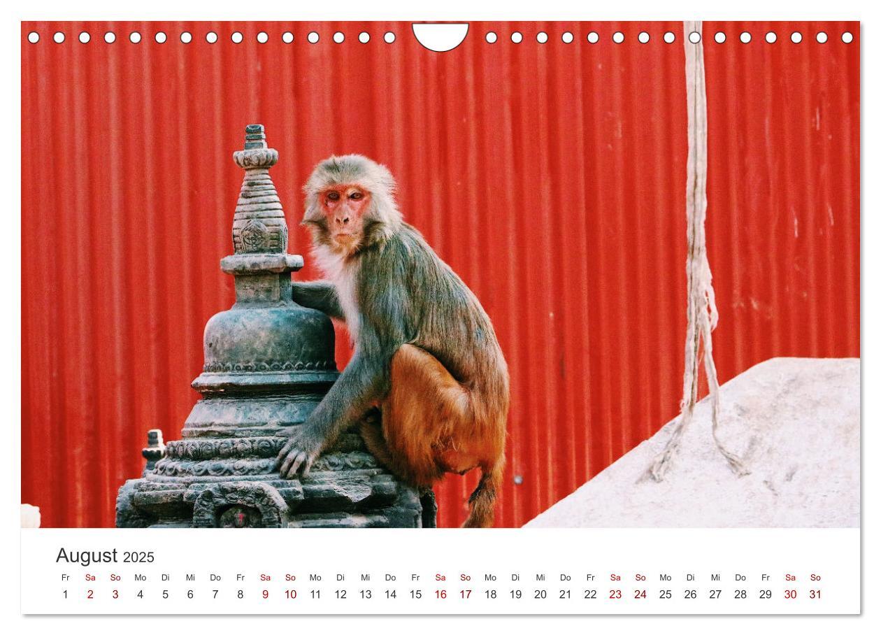 Bild: 9783435008636 | Nepal - Mitten im Himalaya (Wandkalender 2025 DIN A4 quer),...