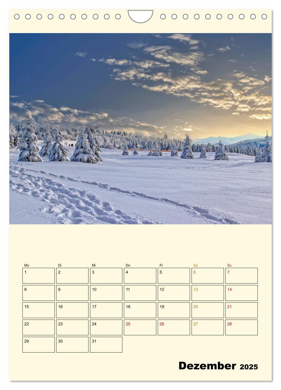 Bild: 9783435903870 | Mein Sachsen (Wandkalender 2025 DIN A4 hoch), CALVENDO Monatskalender