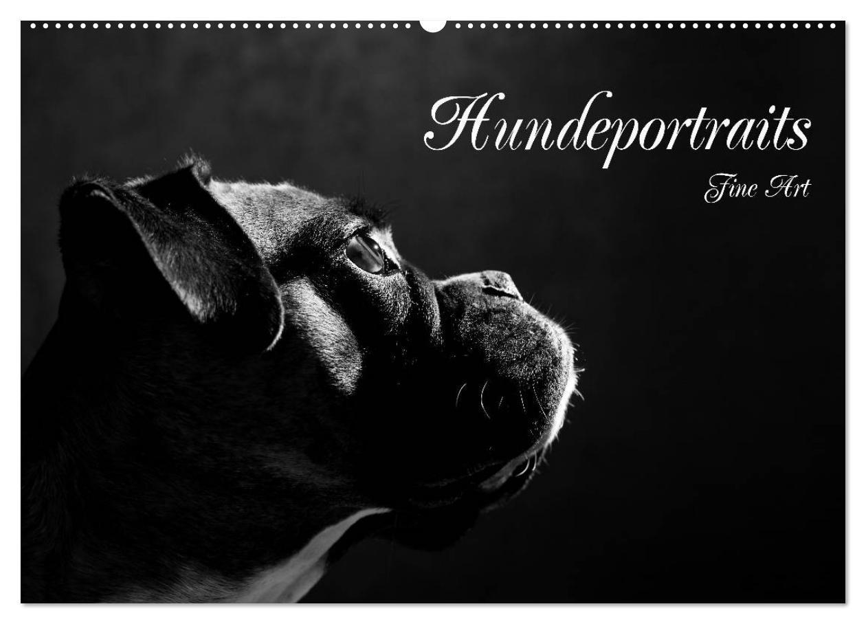 Cover: 9783435434213 | Hundeportraits Fine Art (Wandkalender 2025 DIN A2 quer), CALVENDO...