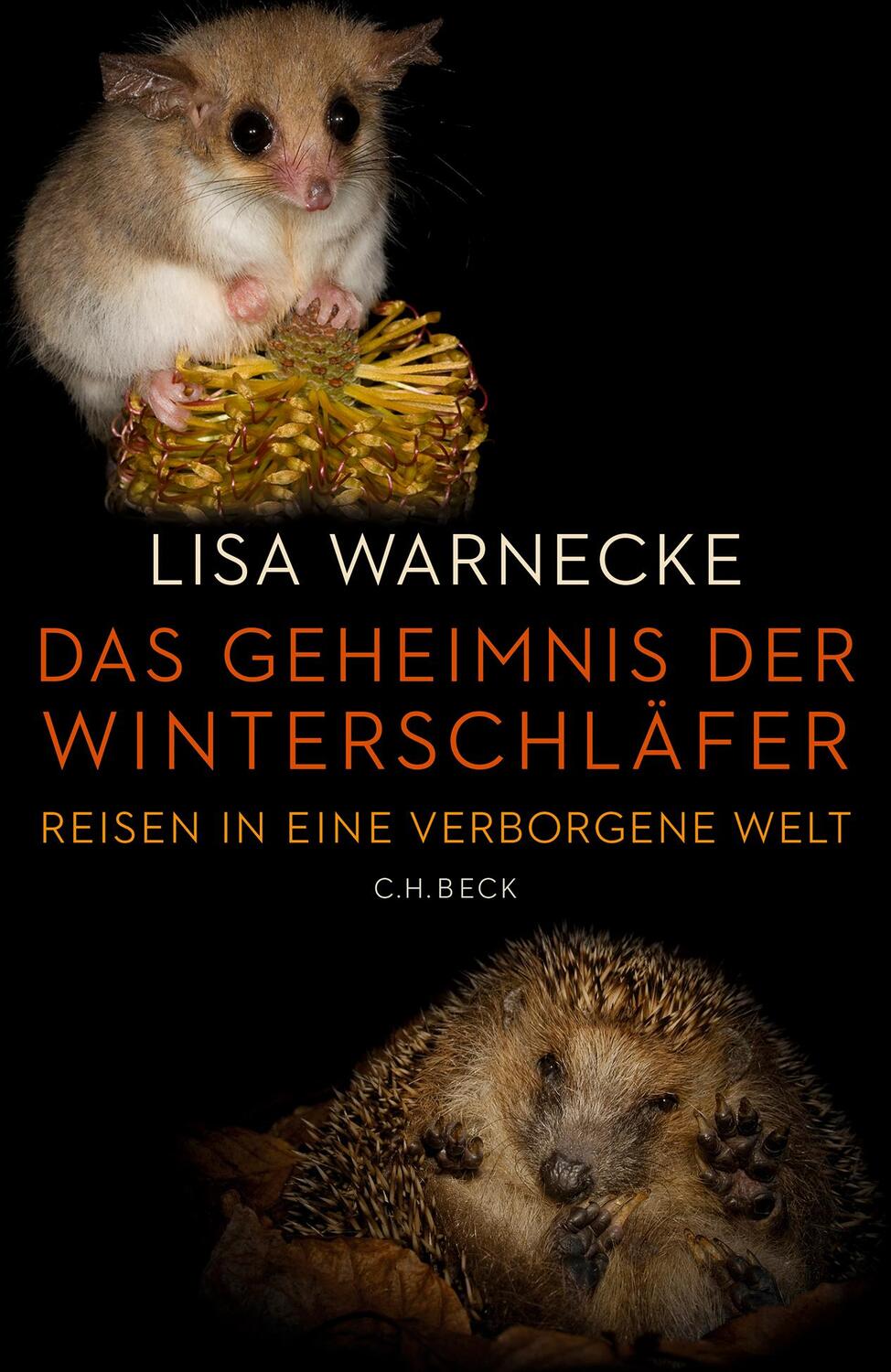 Cover: 9783406713286 | Das Geheimnis der Winterschläfer | Reisen in eine verborgene Welt