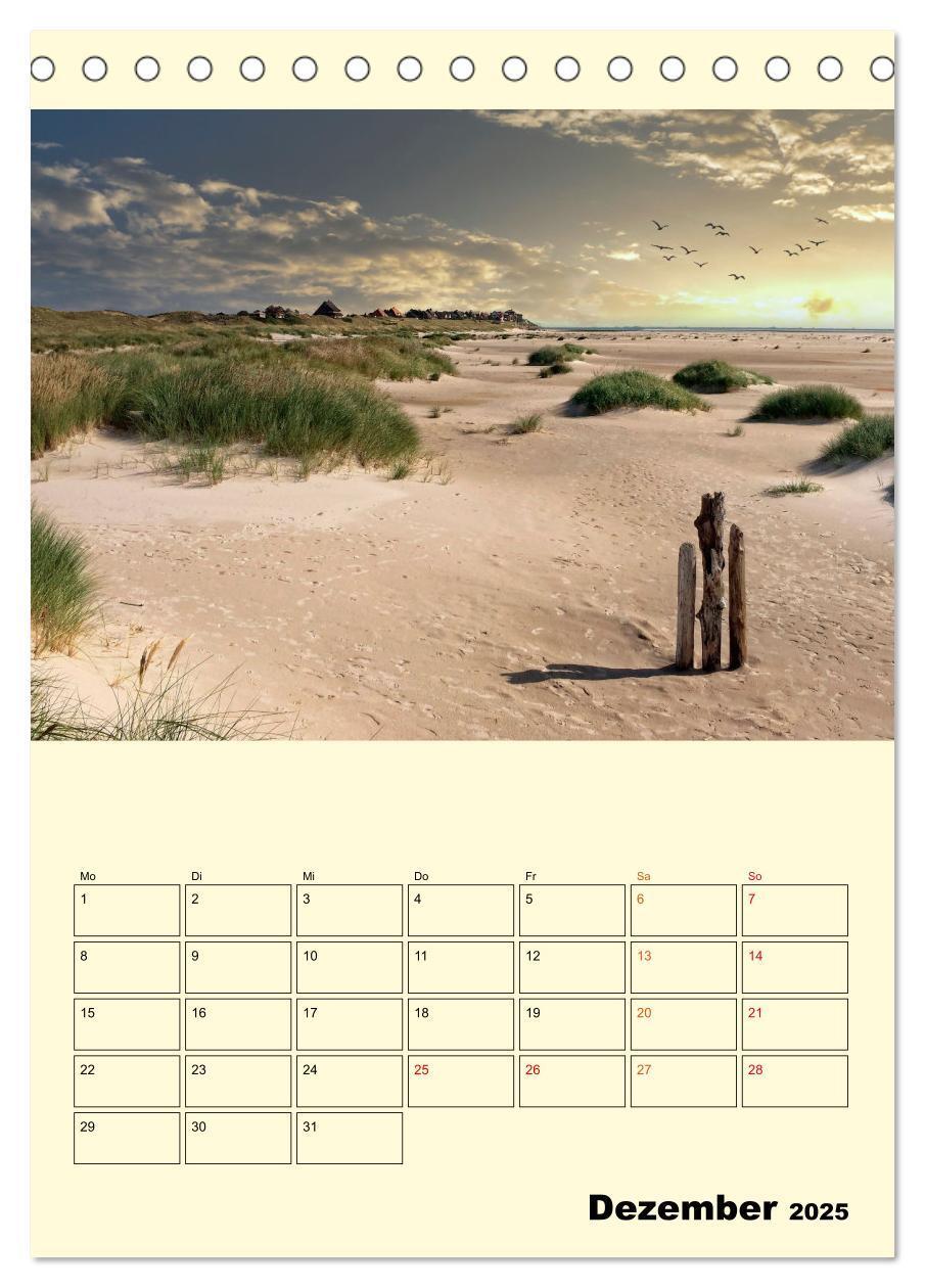 Bild: 9783435903597 | Meine geliebte Nordsee (Tischkalender 2025 DIN A5 hoch), CALVENDO...