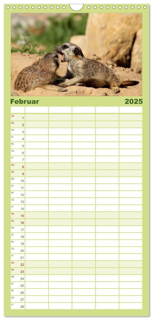 Bild: 9783457121375 | Familienplaner 2025 - Erdmännchen mit 5 Spalten (Wandkalender, 21 x...