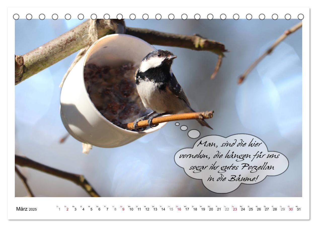 Bild: 9783435113446 | Vögel mit Humor (Tischkalender 2025 DIN A5 quer), CALVENDO...