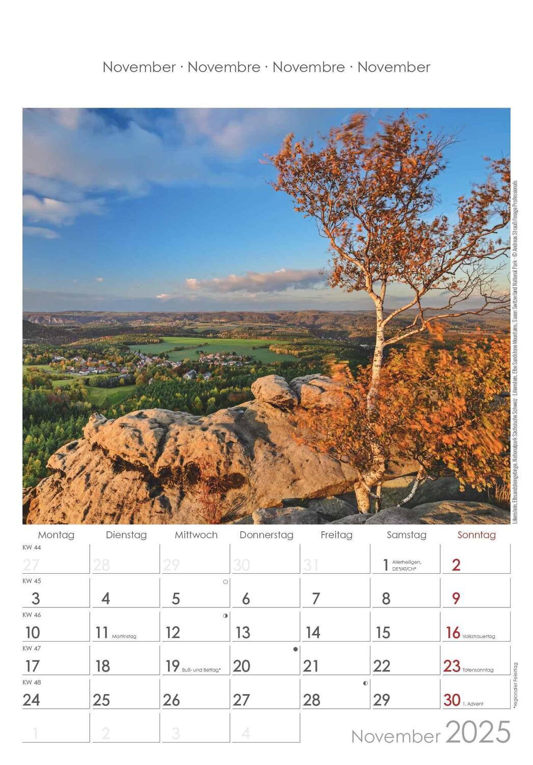 Bild: 4251732341206 | Sachsen 2025 - Bild-Kalender 23,7x34 cm - Regional-Kalender -...