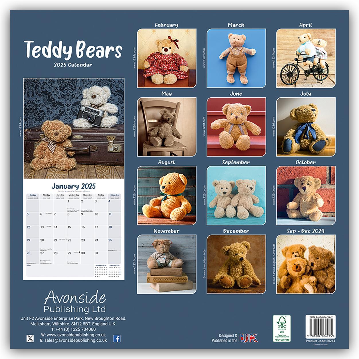 Rückseite: 9781804604915 | Teddy Bears - Teddybären 2025 -16-Monatskalender | Ltd | Kalender