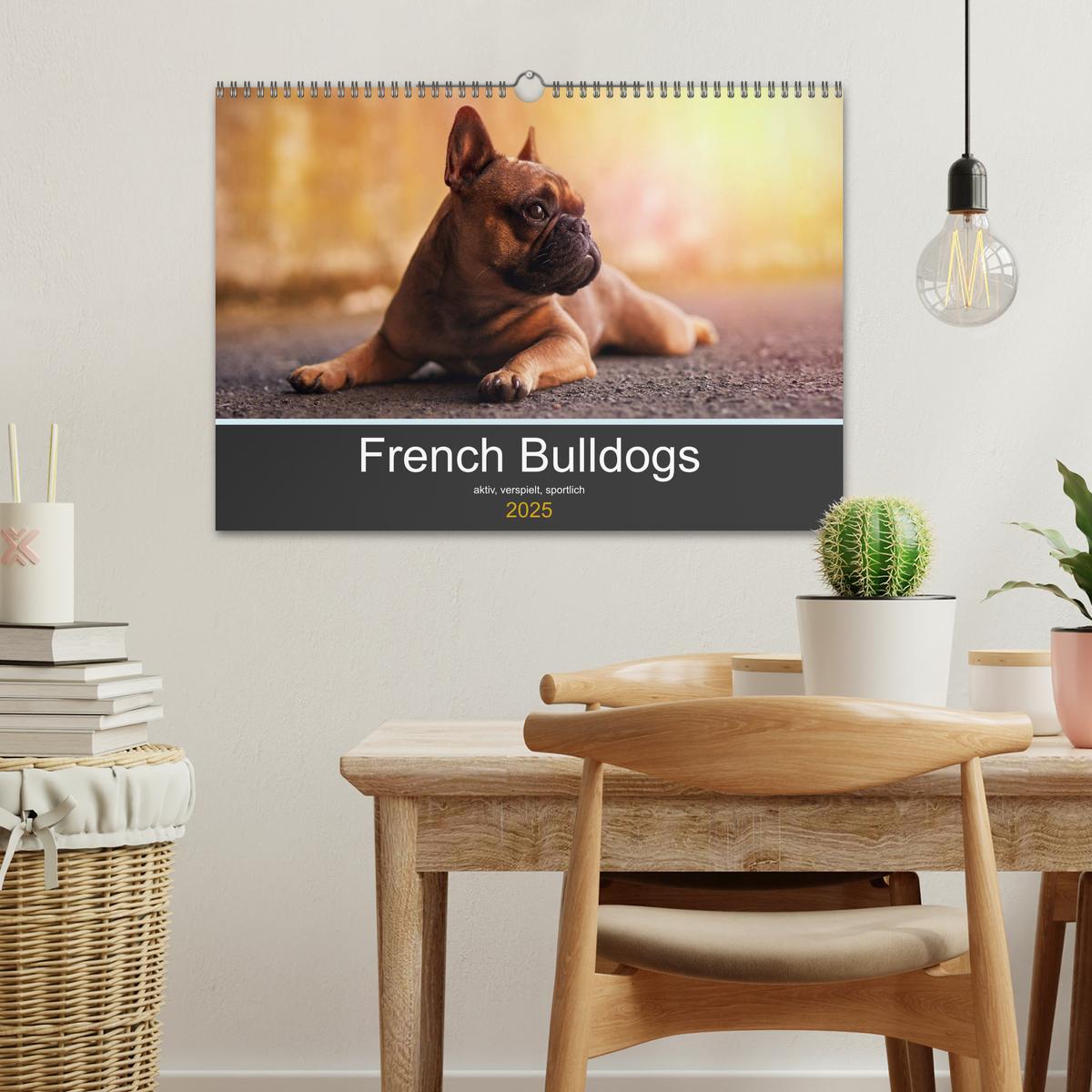 Bild: 9783435301775 | French Bulldog aktiv, verspielt, sportlich (Wandkalender 2025 DIN...