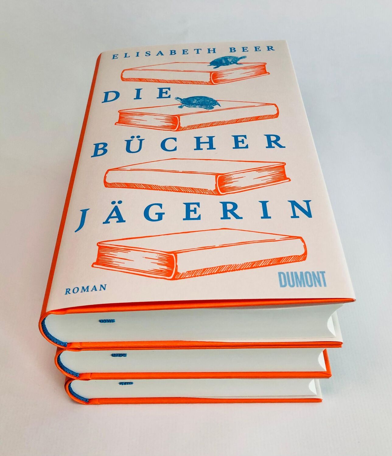 Bild: 9783832166380 | Die Bücherjägerin | Roman | Elisabeth Beer | Buch | 432 S. | Deutsch