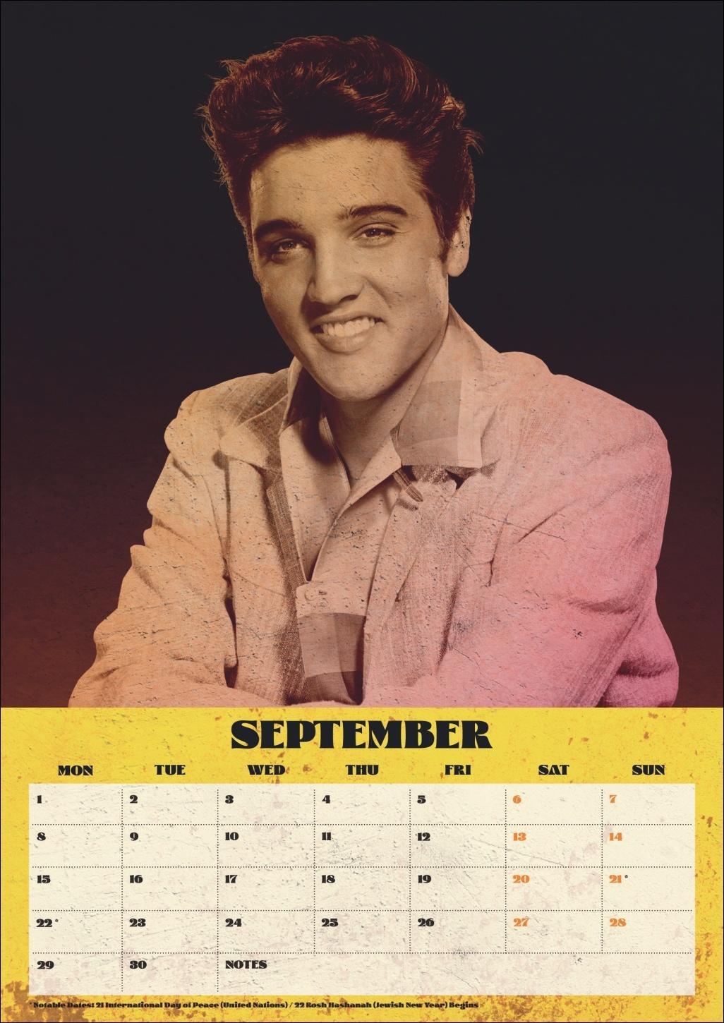 Bild: 9783840196720 | Elvis Posterkalender 2025 | Elvis | Kalender | Danilo | Spiralbindung