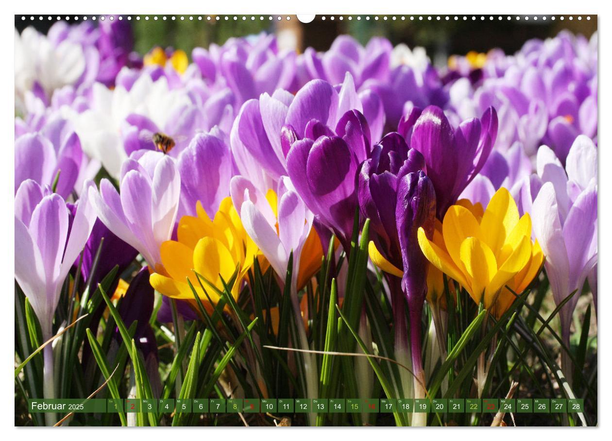 Bild: 9783383761010 | Blütenwunder - Mit Blumen durchs ganze Gartenjahr (Wandkalender...