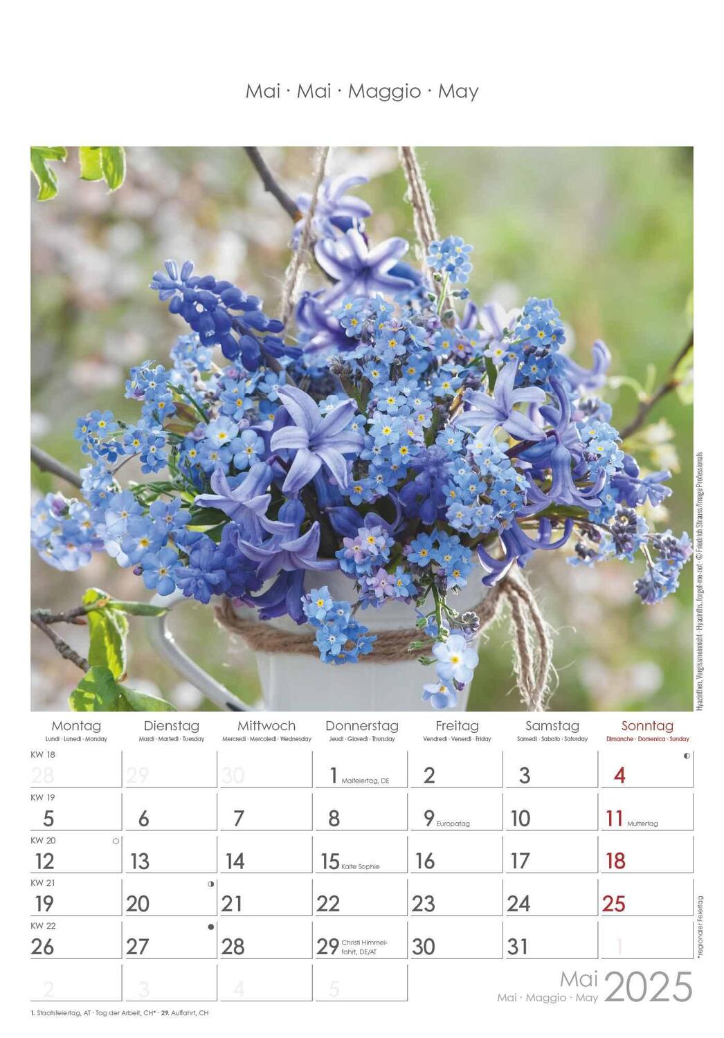 Bild: 4251732341008 | Blumen 2025 - Bildkalender 23,7x34 cm - Kalender mit Platz für...