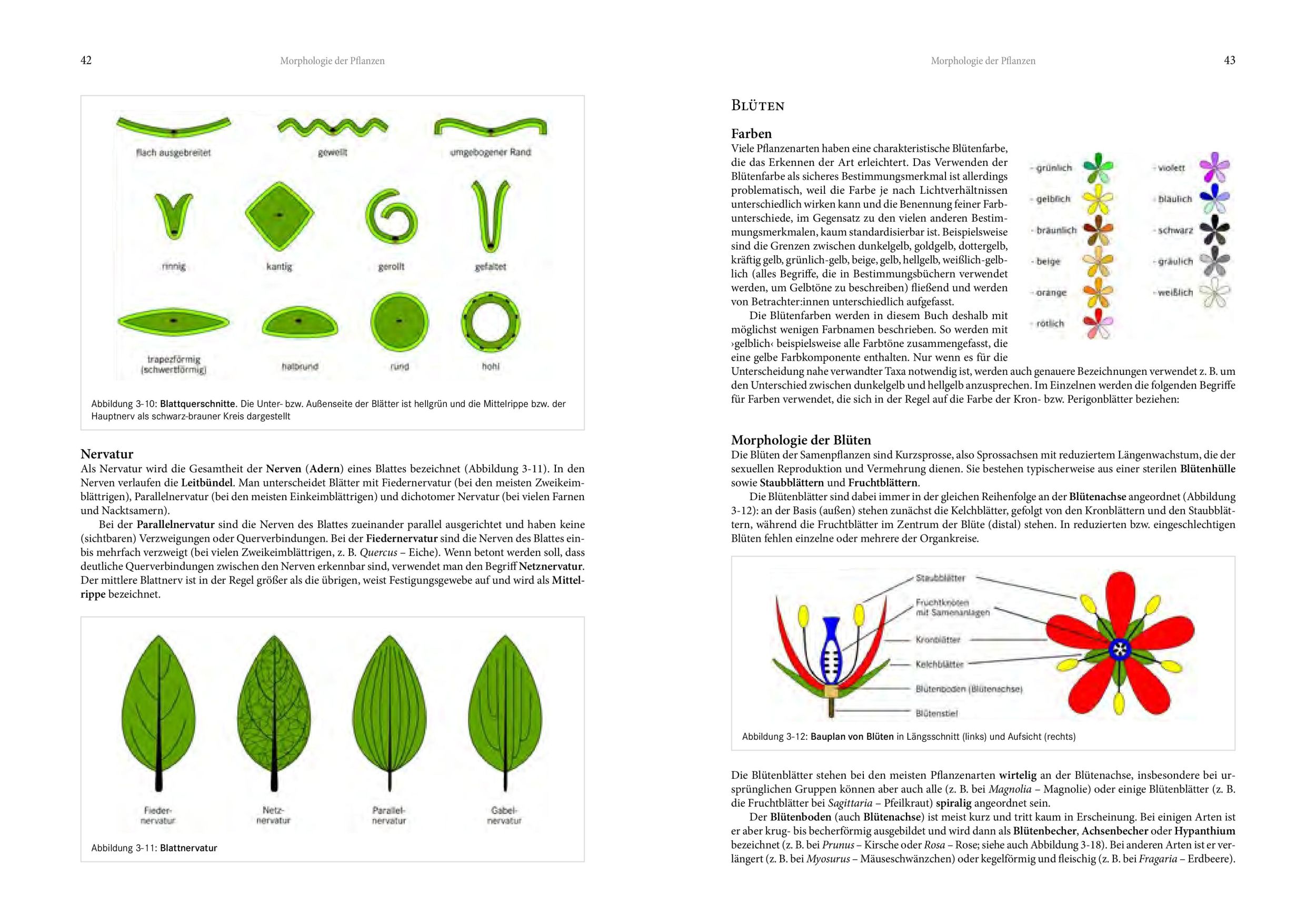 Bild: 9783702511340 | Alpenflora | Oliver Tackenberg | Buch | 800 S. | Deutsch | 2024