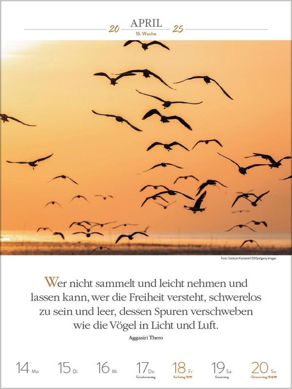 Bild: 9783731877264 | Buddhistische Weisheiten 2025 | Verlag Korsch | Kalender | 54 S.