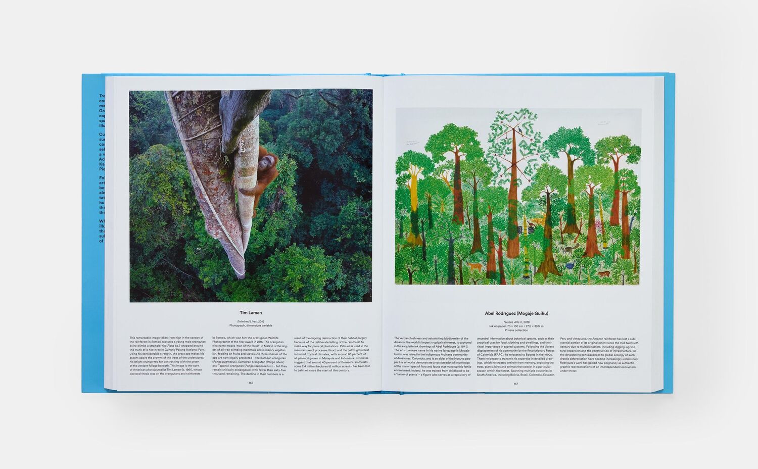 Bild: 9781838667795 | Tree | Exploring the Arboreal World | Phaidon Editors (u. a.) | Buch