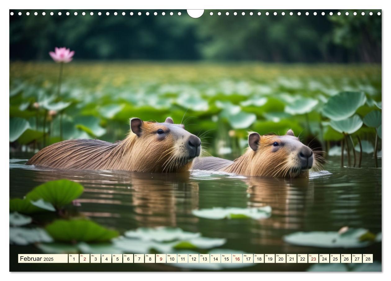 Bild: 9783457143780 | Capybaras - Wasserschweine die Herren der Gräser (Wandkalender 2025...