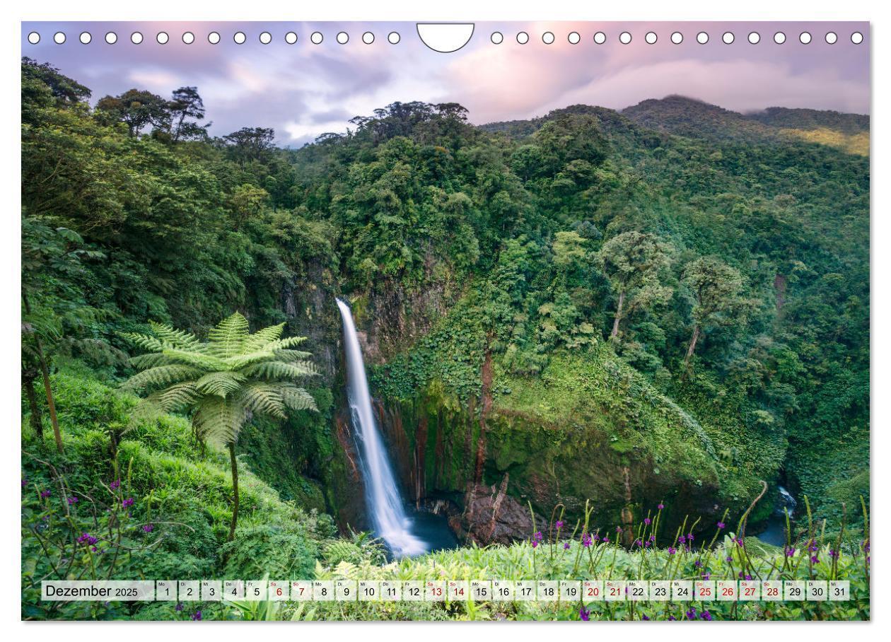 Bild: 9783383949708 | Costa Rica - Tierwelt und Landschaften (Wandkalender 2025 DIN A4...