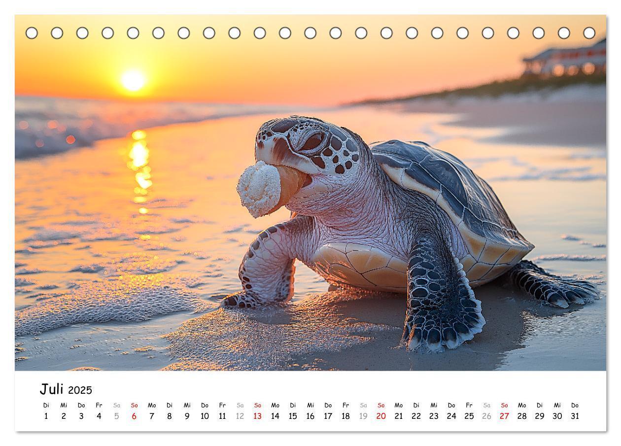 Bild: 9783457215890 | CHILL MAL - Entspannte Schildkröten beim Faulenzen (Tischkalender...