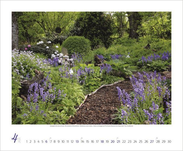 Bild: 9783731875925 | Gartenträume 2025 | Korsch Verlag | Kalender | Spiralbindung | 14 S.