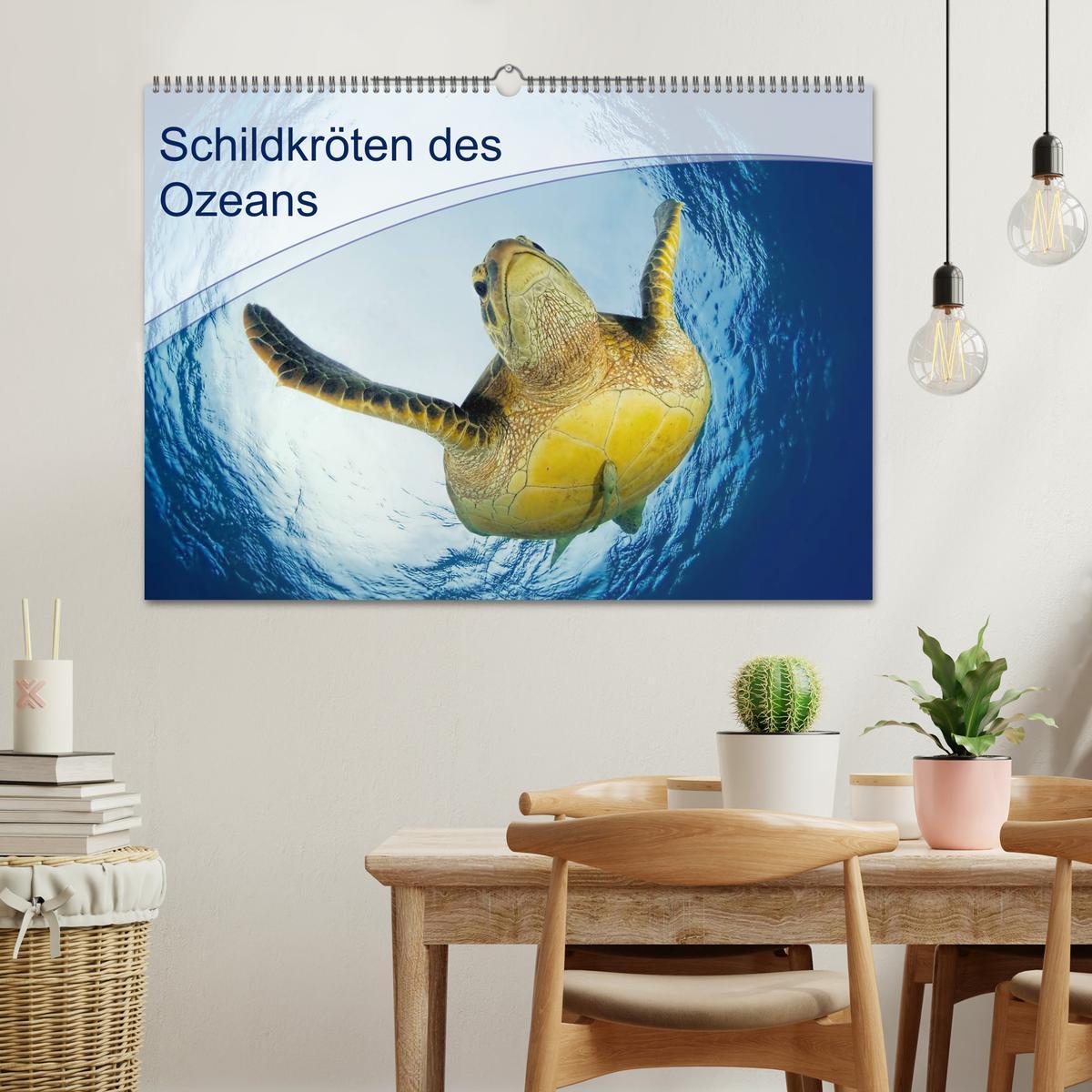 Bild: 9783435596959 | Schildkröten des Ozeans (Wandkalender 2025 DIN A2 quer), CALVENDO...