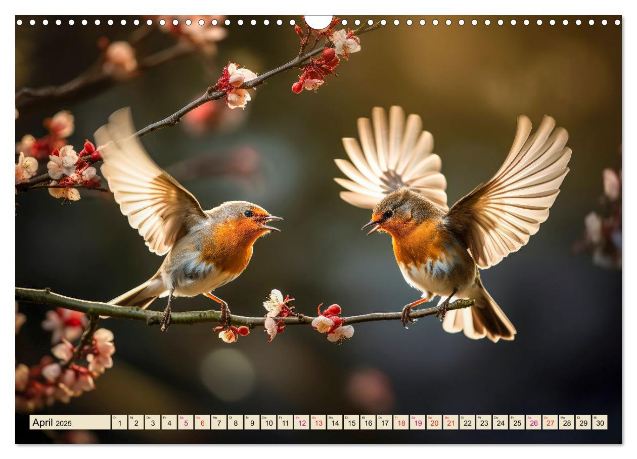 Bild: 9783383842160 | Vögel Alltag (Wandkalender 2025 DIN A3 quer), CALVENDO Monatskalender