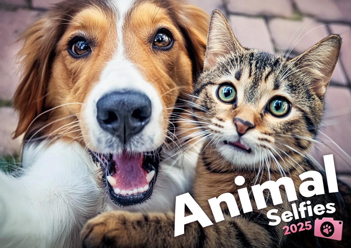 Cover: 9798893611151 | Animal Selfies 2025 | Der tierisch lustige Selfies Kalender | Kalender