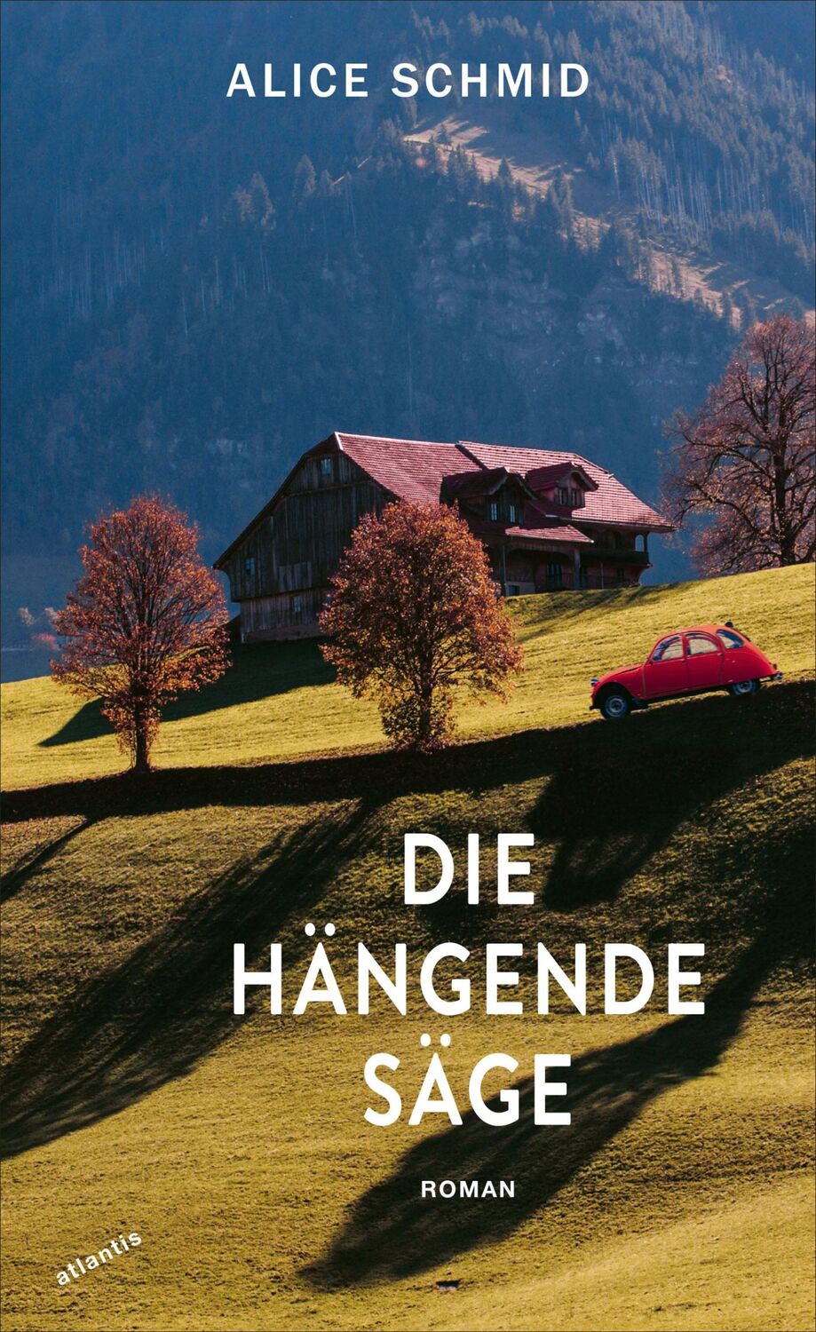 Cover: 9783715250304 | Die hängende Säge | Alice Schmid | Buch | 176 S. | Deutsch | 2024