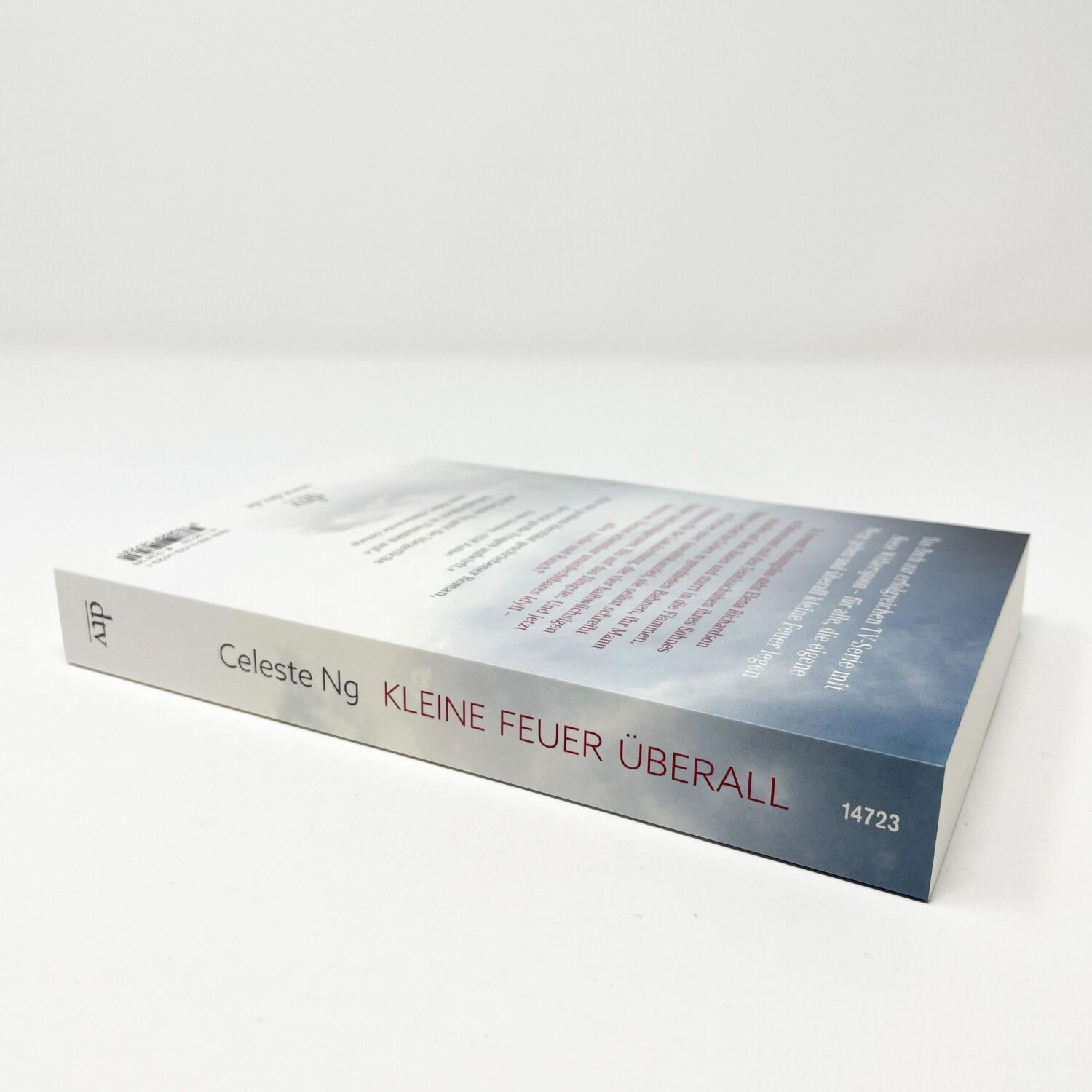 Bild: 9783423147231 | Kleine Feuer überall | Celeste Ng | Taschenbuch | 384 S. | Deutsch