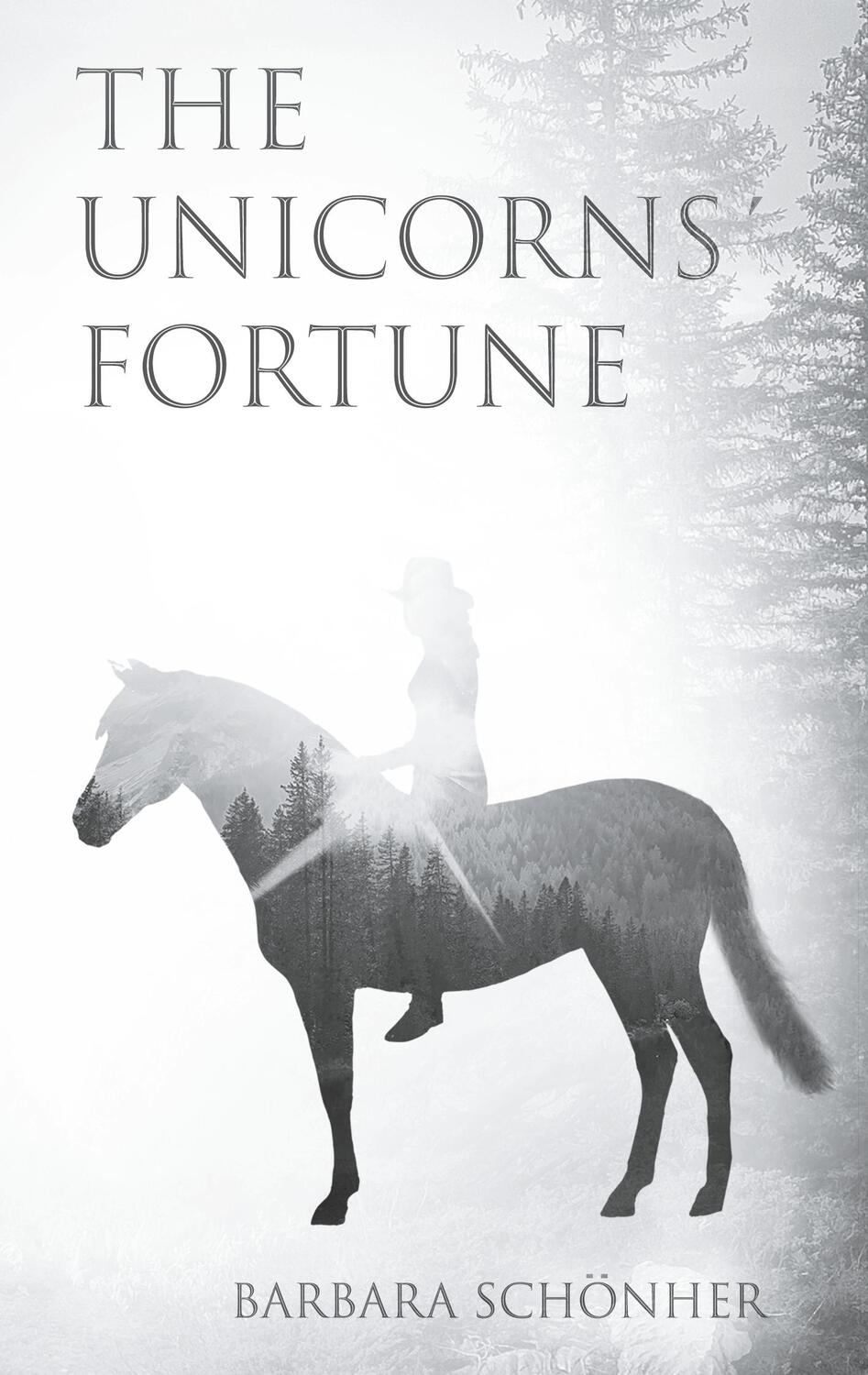 Cover: 9783746078151 | The Unicorns' Fortune | Barbara Schönher | Taschenbuch | Paperback