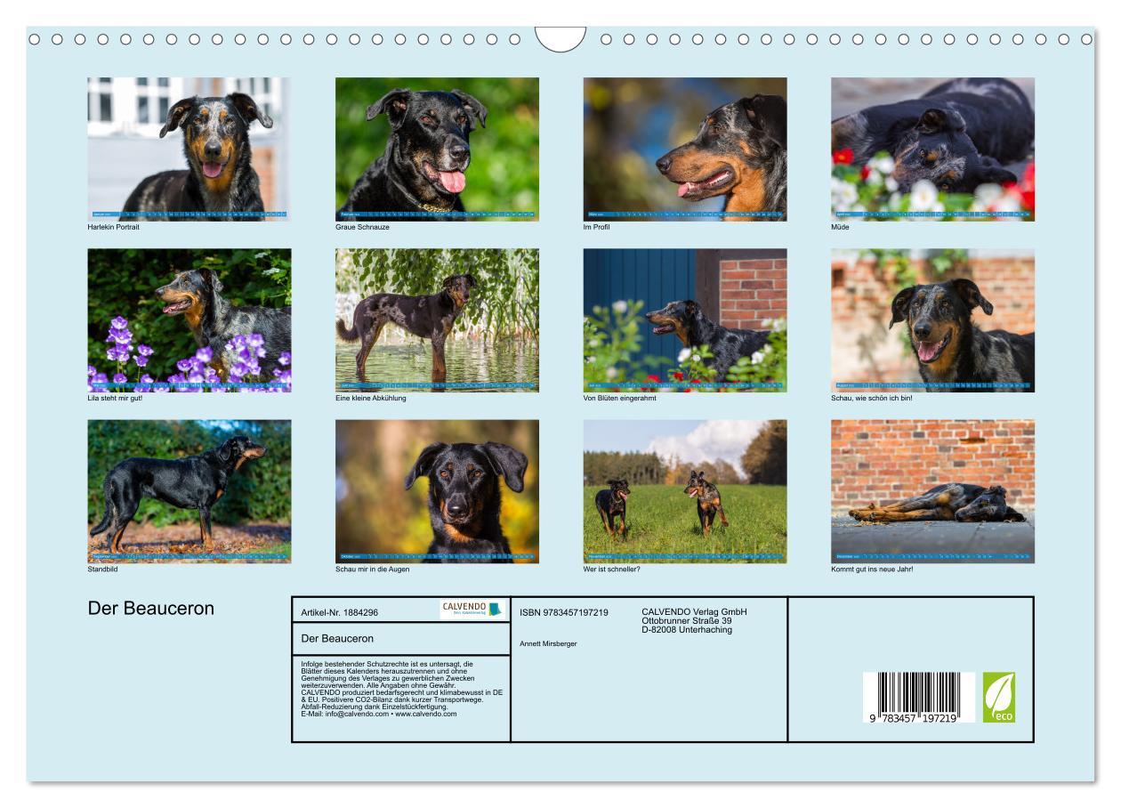 Bild: 9783457197219 | Der Beauceron (Wandkalender 2025 DIN A3 quer), CALVENDO Monatskalender