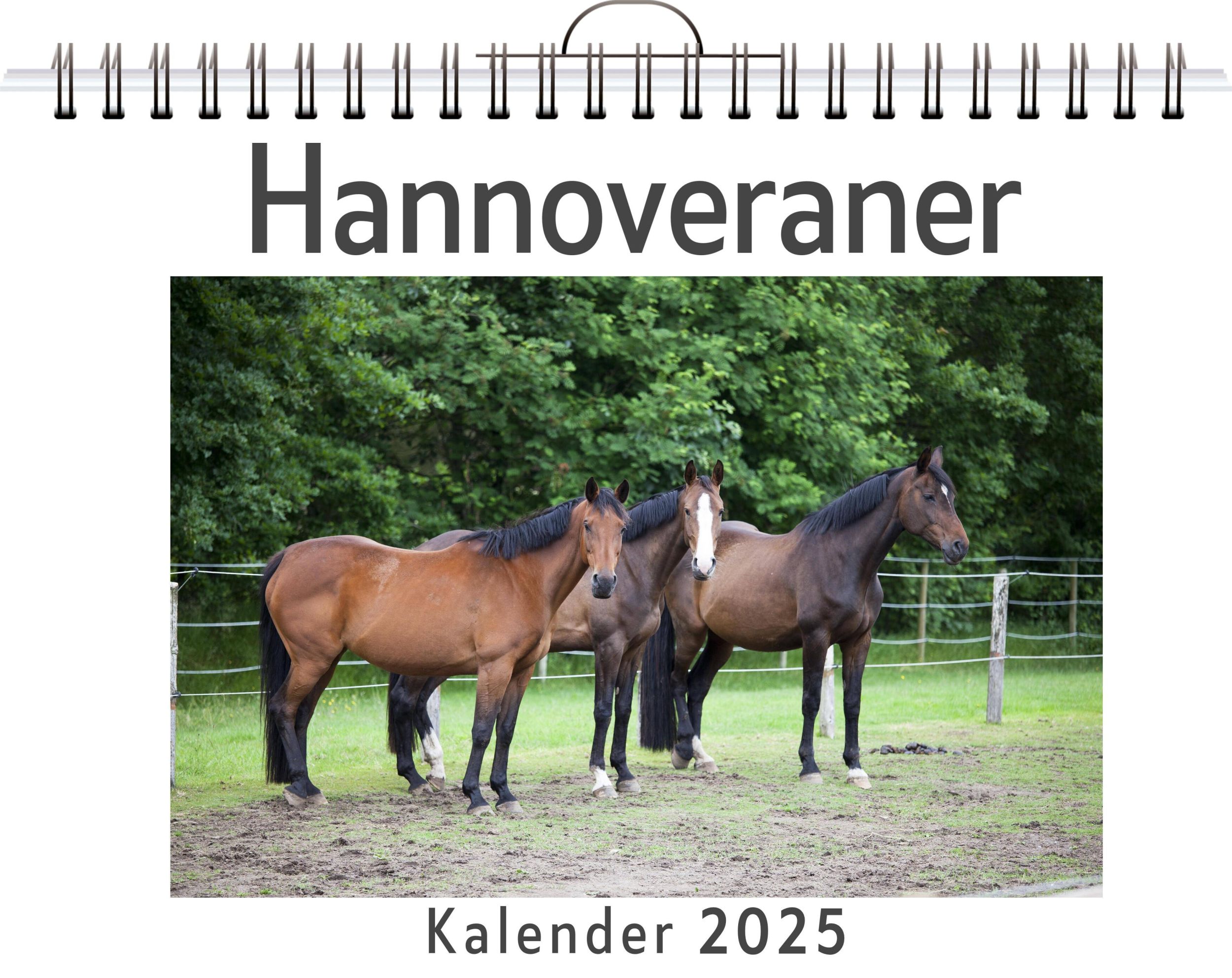 Cover: 9783759132208 | Hannoveraner | Elias Vogel | Kalender | Kalender | 14 S. | Deutsch