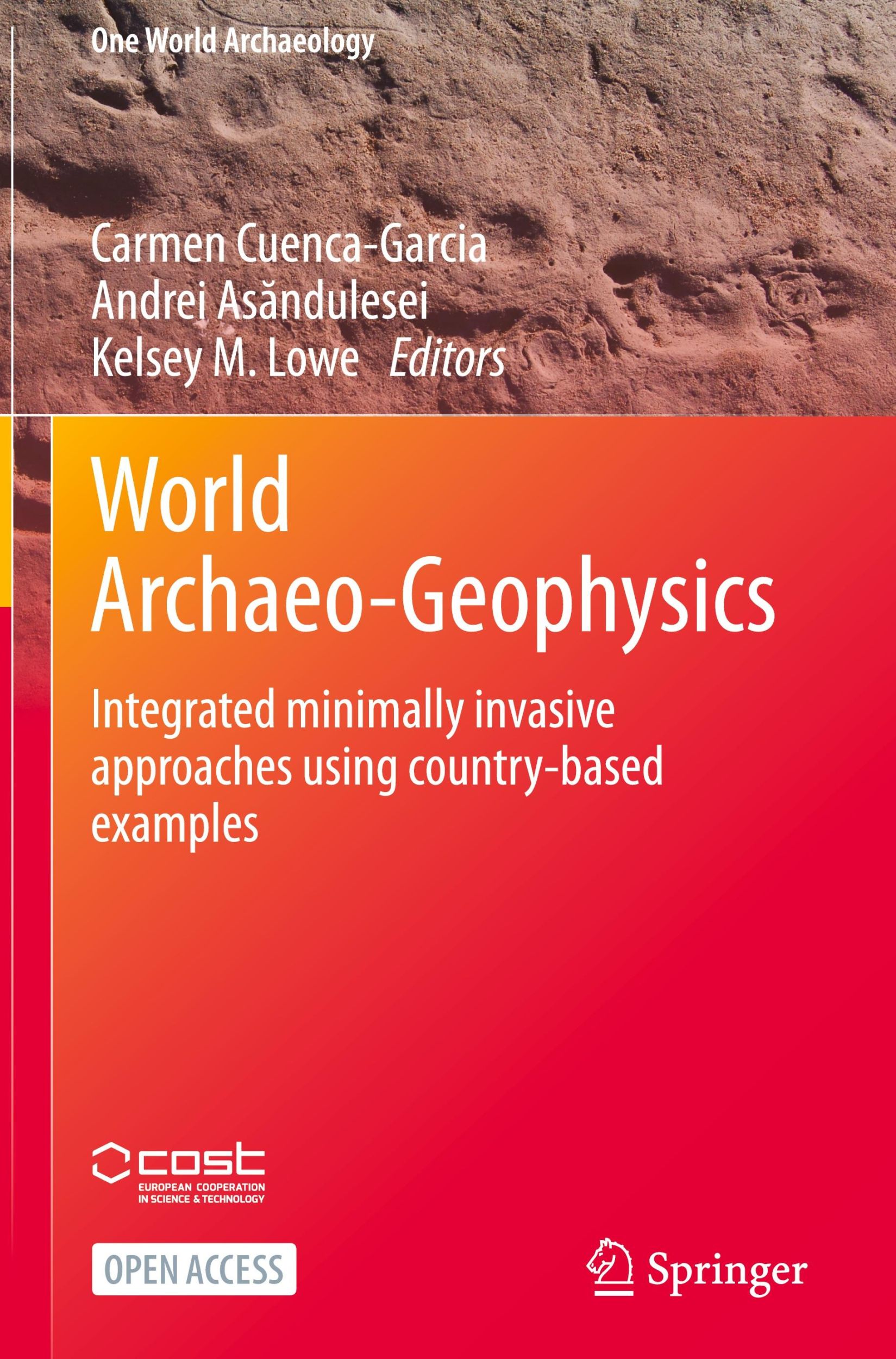 Cover: 9783031578991 | World Archaeo-Geophysics | Carmen Cuenca-Garcia (u. a.) | Buch | 2024