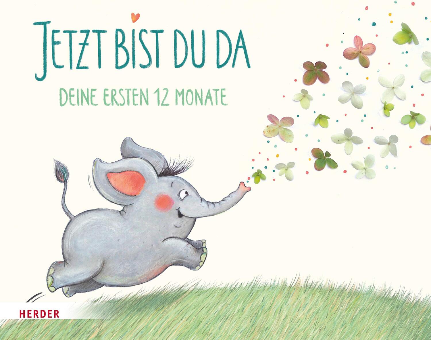 Cover: 9783451716836 | Jetzt bist du da - Deine ersten 12 Monate | Nina Hammerle | Buch