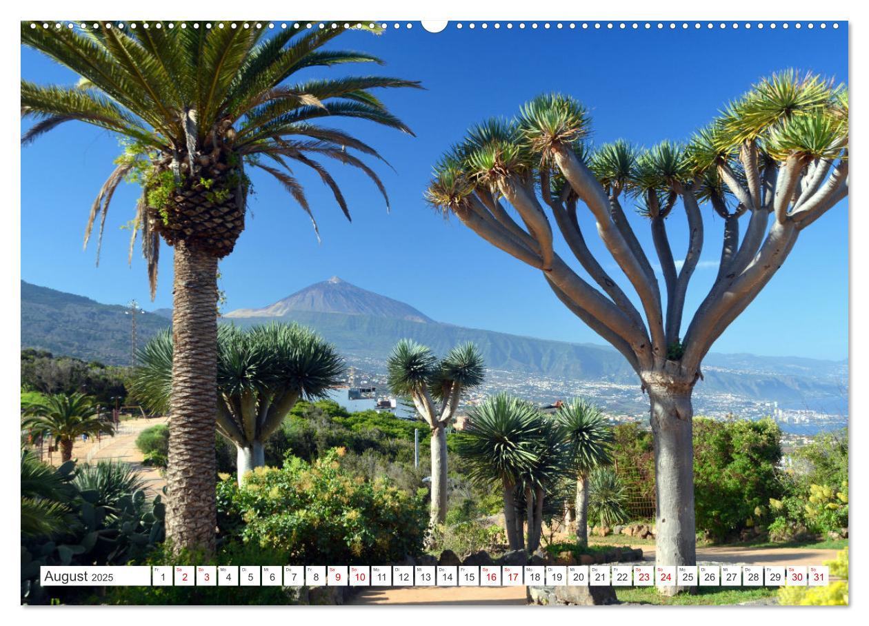 Bild: 9783457222560 | Teneriffa - Insel der Glückseligen (Wandkalender 2025 DIN A2 quer),...