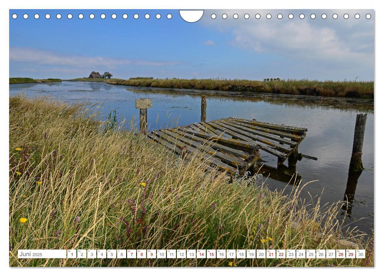 Bild: 9783435257249 | Sommertage auf Hallig Hooge (Wandkalender 2025 DIN A4 quer),...