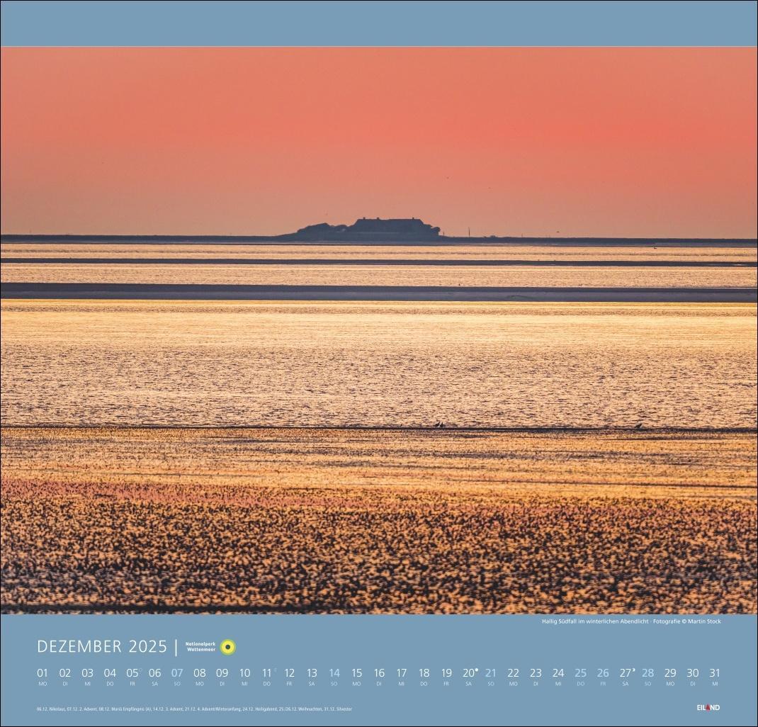 Bild: 9783964023124 | Nationalpark Wattenmeer Edition Kalender 2025 - Martin Stock | 13 S.