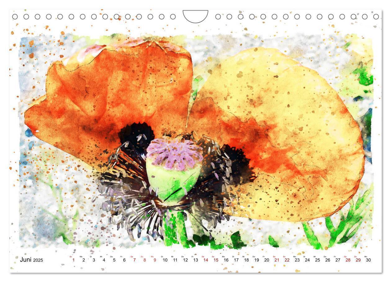 Bild: 9783435141241 | Mohnblüten in Aquarell (Wandkalender 2025 DIN A4 quer), CALVENDO...