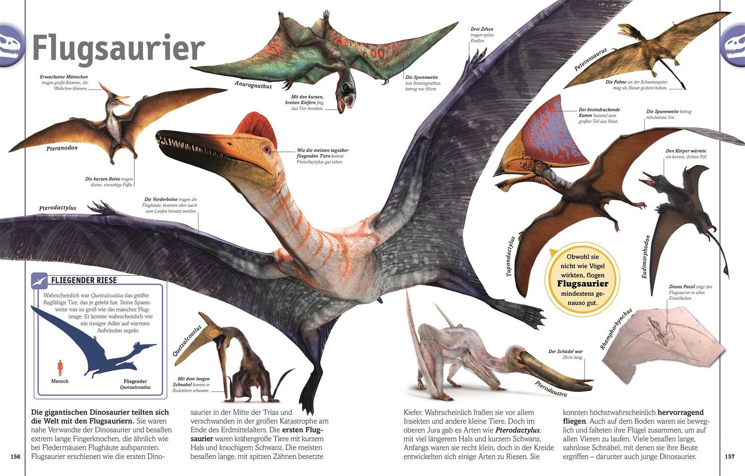 Bild: 9783831035649 | Dinosaurier | Lebewesen und Fossilien der Urzeit in über 1000 Bildern