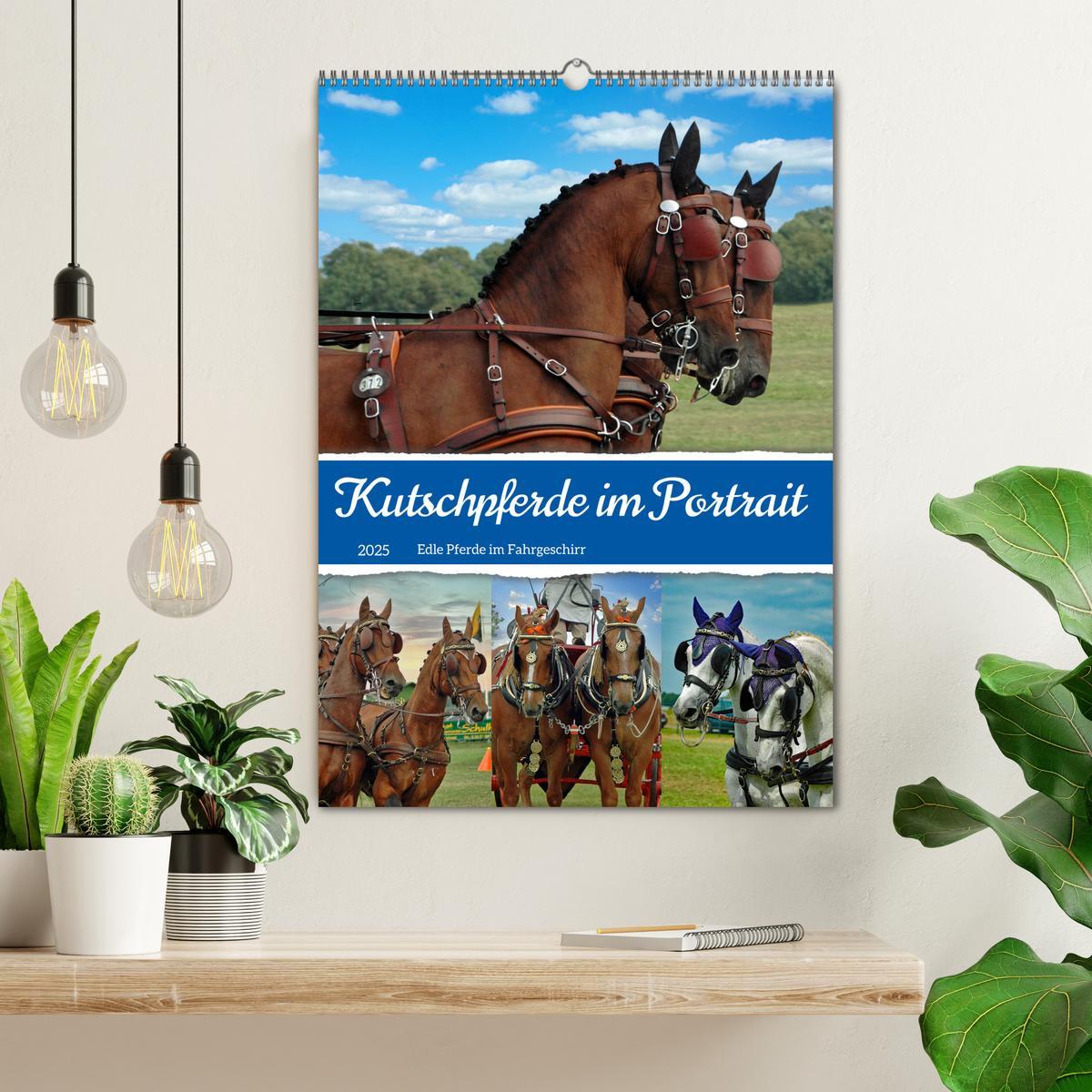 Bild: 9783435900244 | Kutschpferde im Portait (Wandkalender 2025 DIN A2 hoch), CALVENDO...