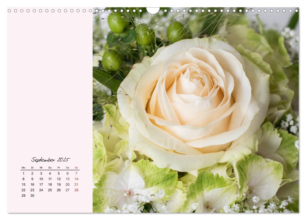 Bild: 9783435198566 | Rosen. Charmante und edle Königinnen (Wandkalender 2025 DIN A3...