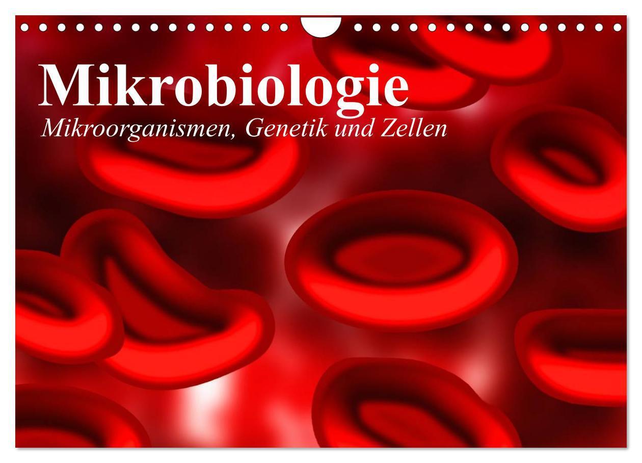 Cover: 9783435484249 | Mikrobiologie. Mikroorganismen, Genetik und Zellen (Wandkalender...