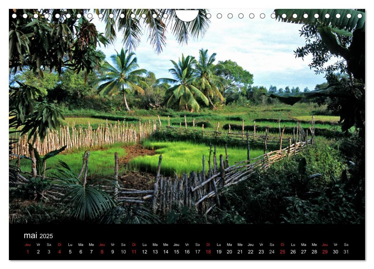 Bild: 9781325960613 | Madagascar L'île aux merveilles (Calendrier mural 2025 DIN A4...