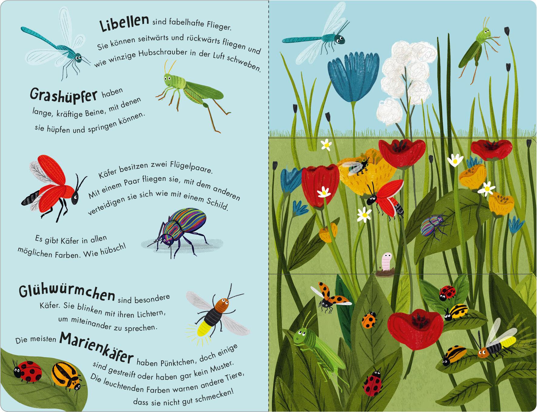 Bild: 9783328303039 | Bienen &amp; Käfer - Ein Klipp-Klapp-Buch über Krabbeltiere | Littleboy