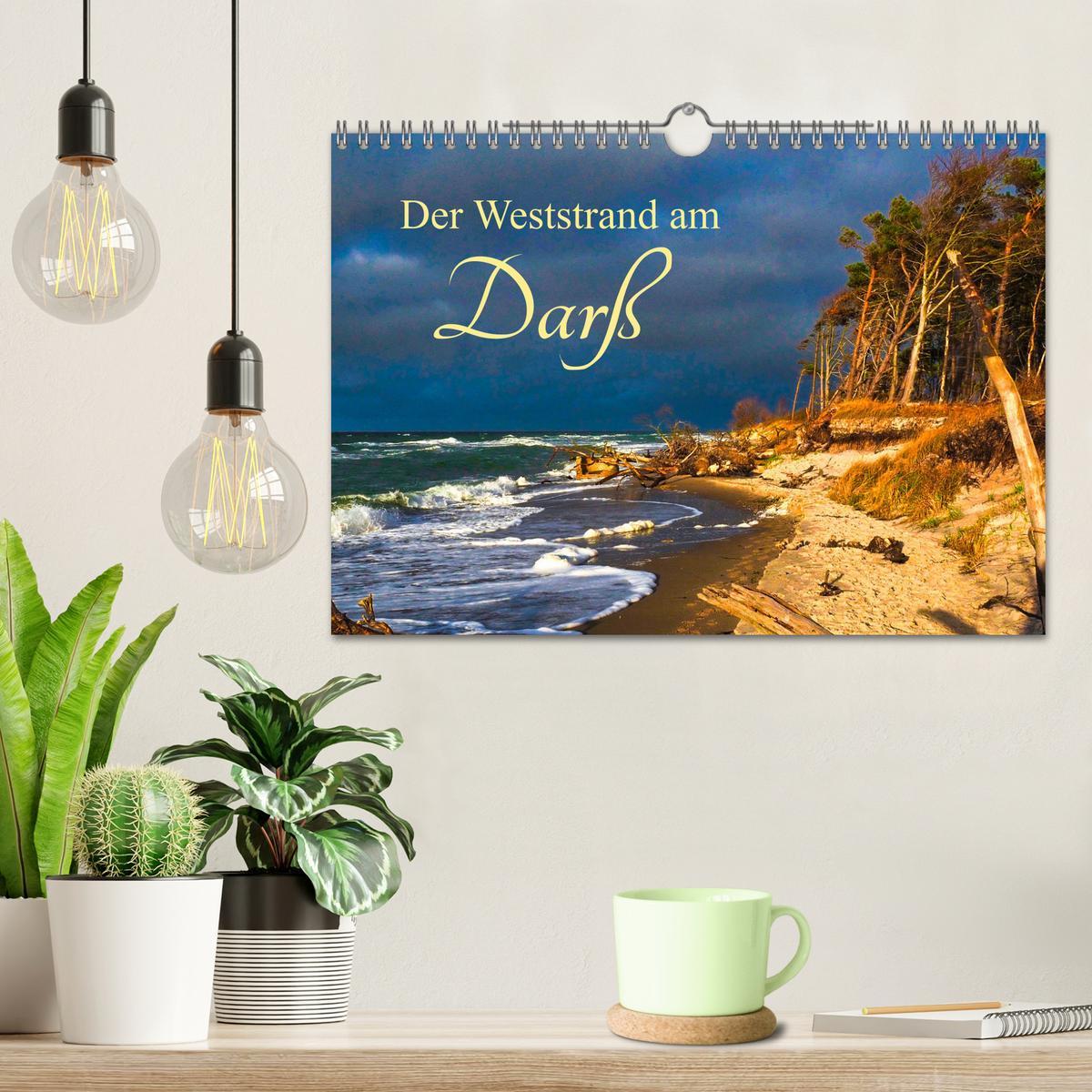 Bild: 9783457242131 | Der Weststrand am Darß (Wandkalender 2025 DIN A4 quer), CALVENDO...