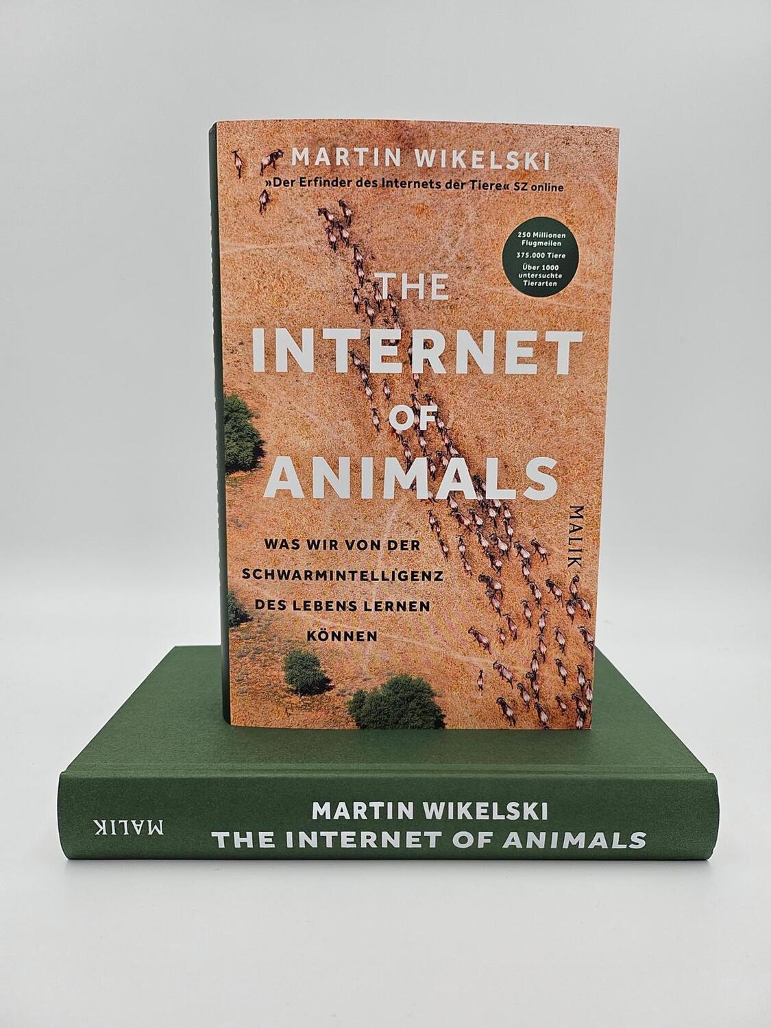 Bild: 9783890295619 | The Internet of Animals: Was wir von der Schwarmintelligenz des...