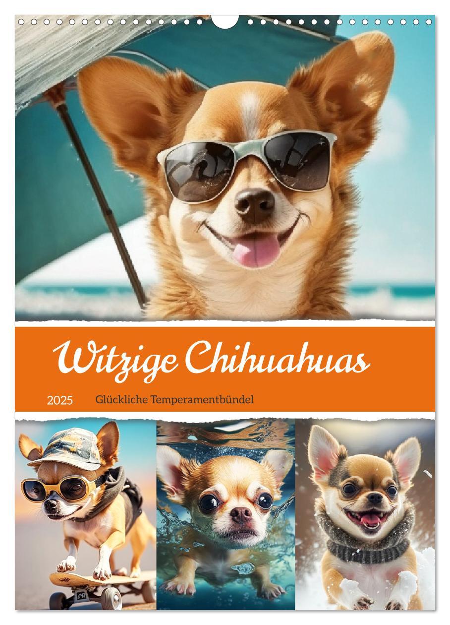 Cover: 9783435875672 | Witzige Chihuahuas. Glückliche Temperamentbündel (Wandkalender 2025...