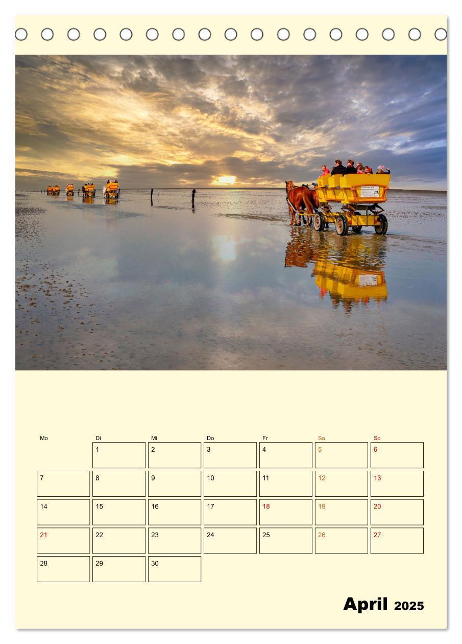 Bild: 9783435903597 | Meine geliebte Nordsee (Tischkalender 2025 DIN A5 hoch), CALVENDO...