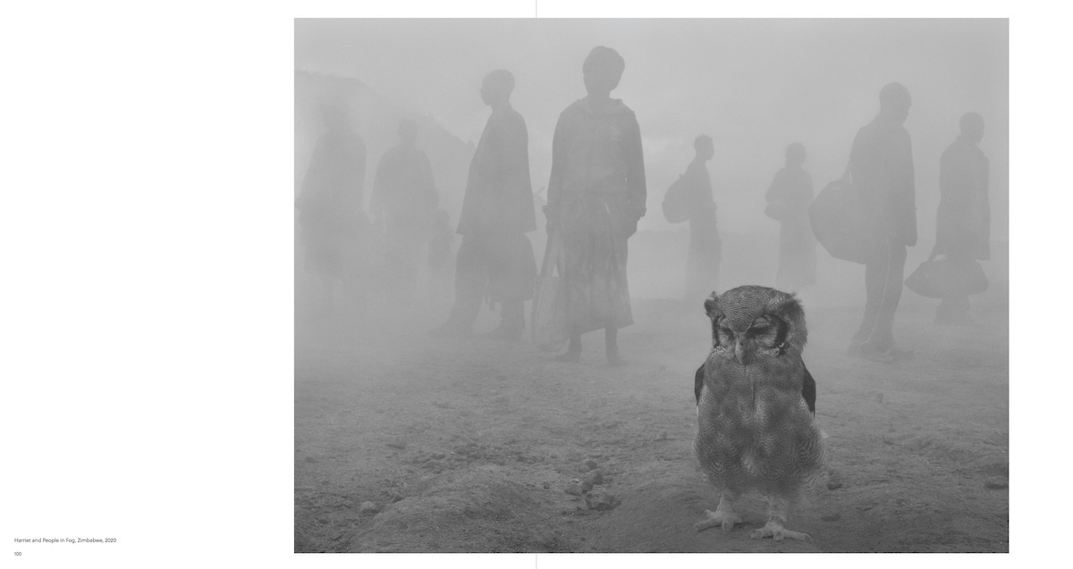 Bild: 9783775750899 | Nick Brandt | The Day May Break | Nadine Barth | Buch | 168 S. | 2021