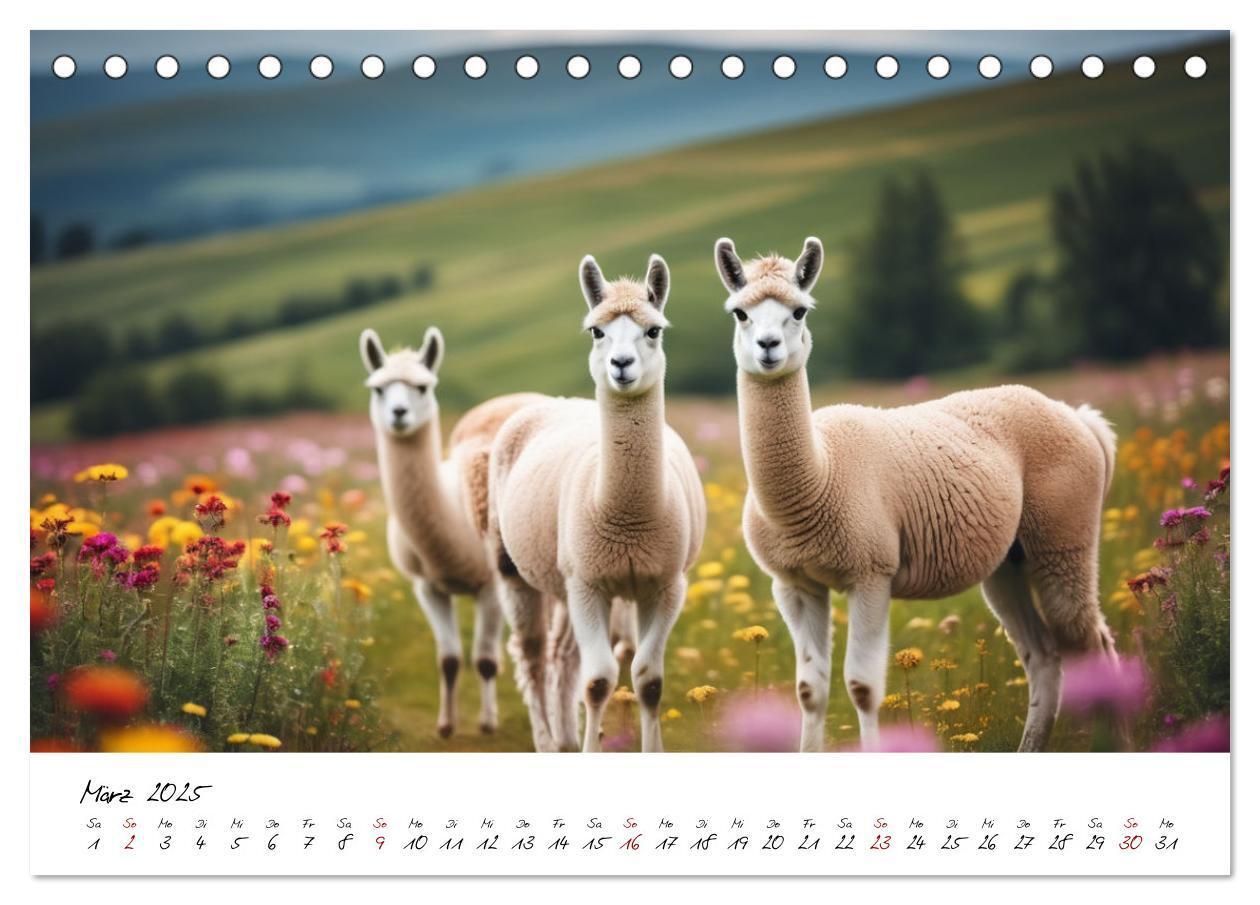 Bild: 9783457189641 | Alpakas, die sanften Andenbewohner (Tischkalender 2025 DIN A5...