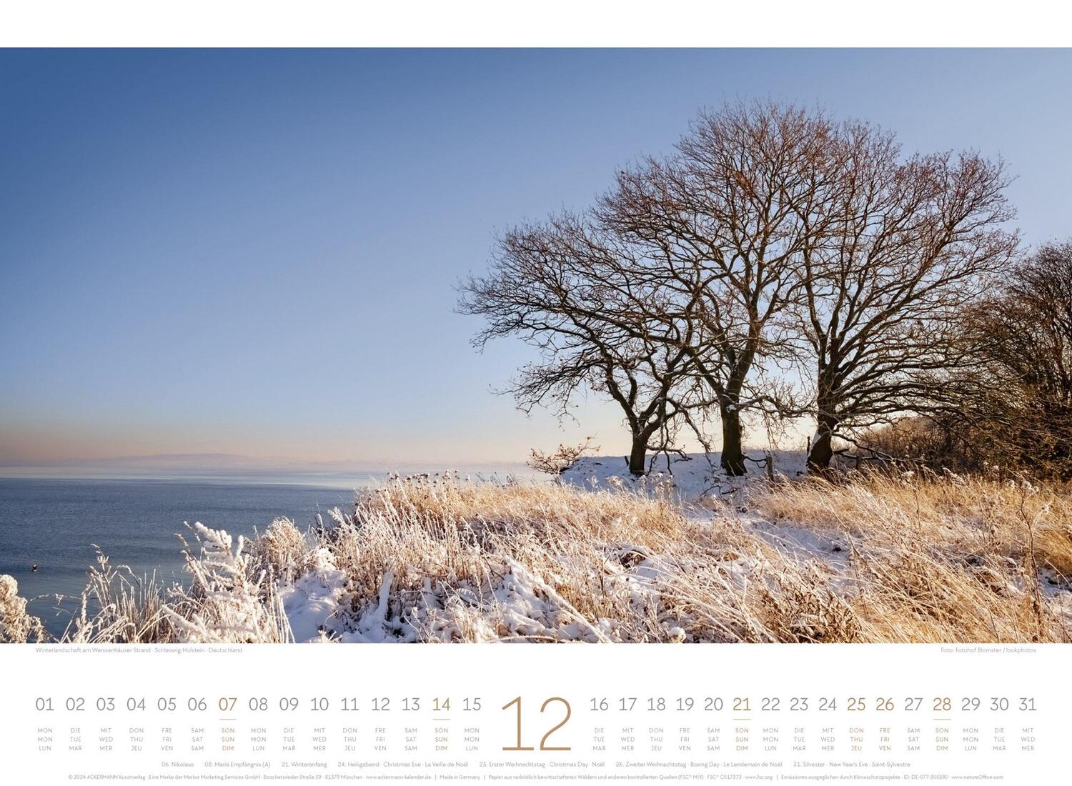 Bild: 9783838425771 | Tage am Meer Kalender 2025 | Ackermann Kunstverlag | Kalender | 14 S.