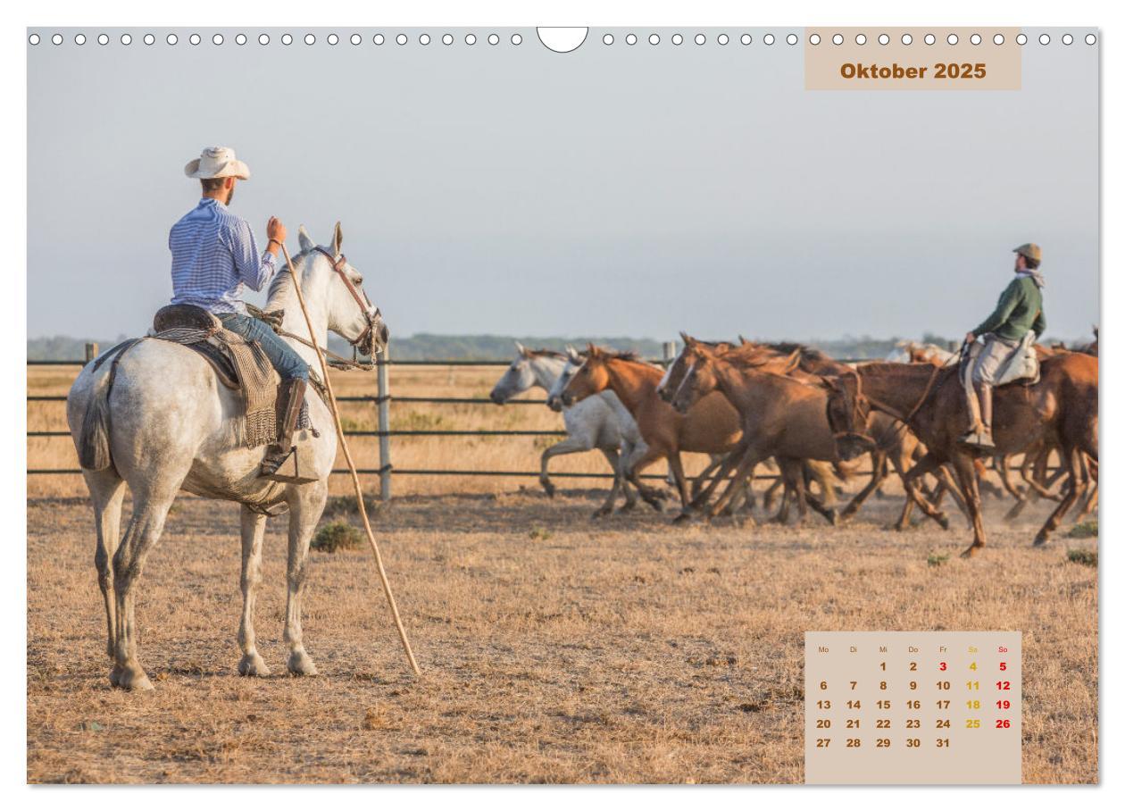 Bild: 9783435105540 | Pferde - Andalusiens wilder Westen (Wandkalender 2025 DIN A3 quer),...