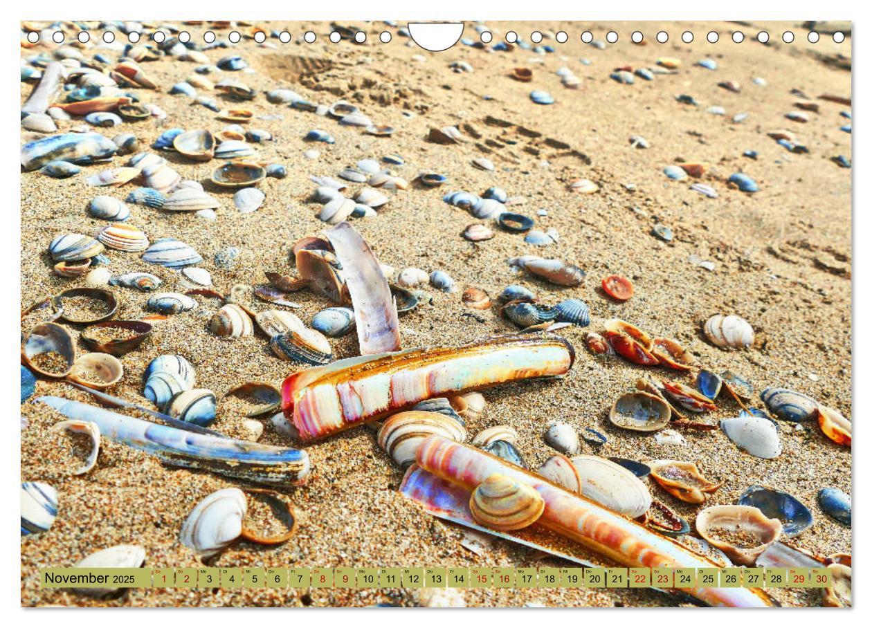 Bild: 9783435117536 | Holland - Die Nordsee von Zandvoort bis Breskens (Wandkalender 2025...